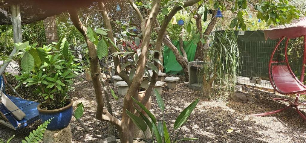 Villa נופש דביר - סוויטות מהממות ובקתה כפרית עם ג'קוזי ליד הכנרת - יש מקלט צמוד Migdal Habitación foto